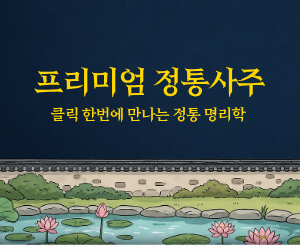 프리미엄 정통사주